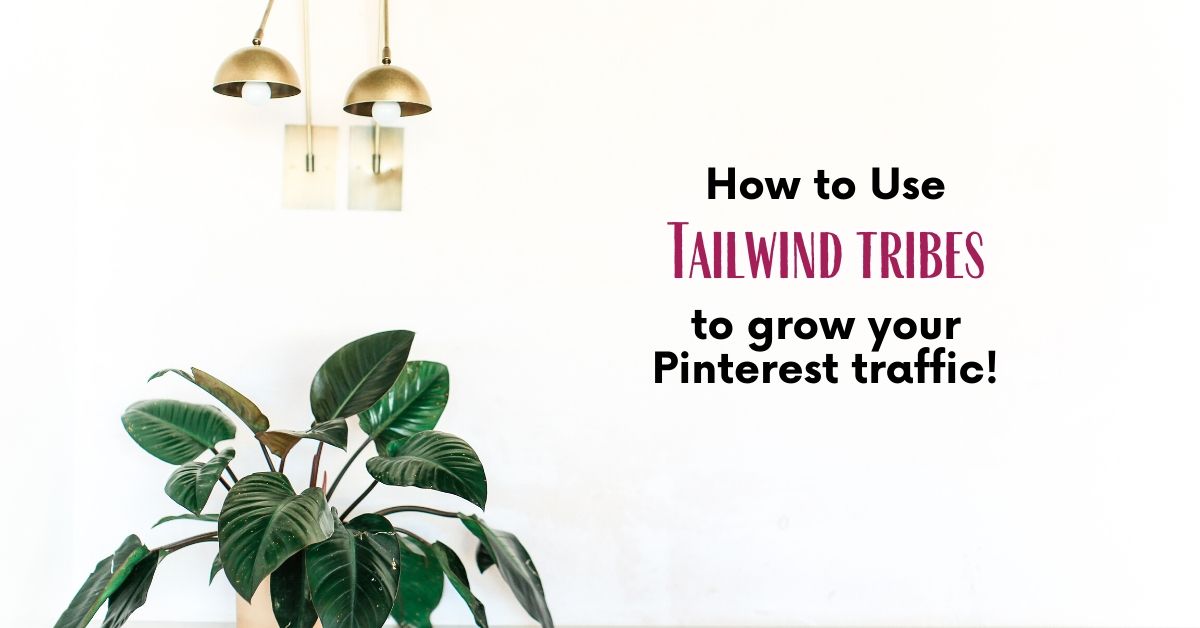 How To Use Tailwind Communities To Grow Your Website Traffic Heather